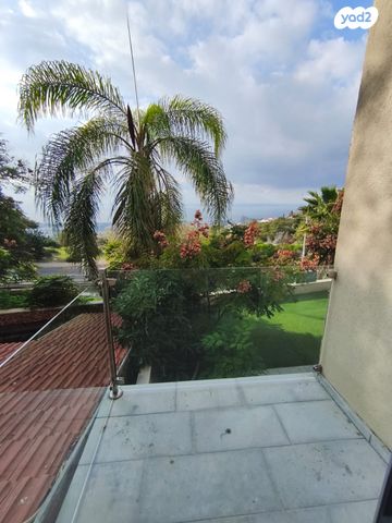 אלברט שווייצר 