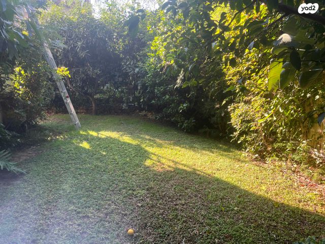 בית פרטי/ קוטג', רעננה