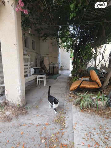 דירה, הנוטר, קרית חיים מזרחית, חיפה