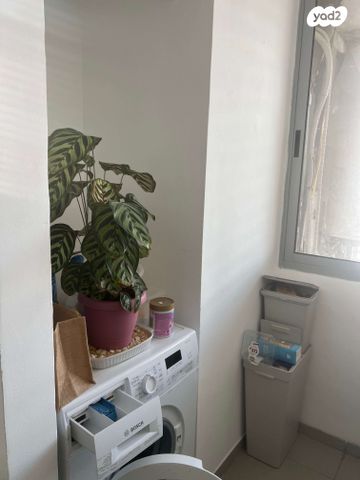 דירה, חפץ חיים, רעננה