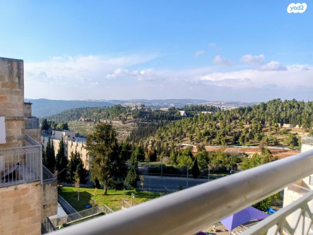 הרב אליעזר ברגמן 