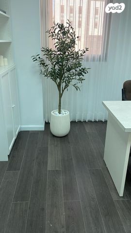 משרדים, דרך חברון, בקעה, ירושלים