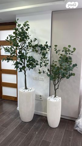 משרדים, דרך חברון, בקעה, ירושלים