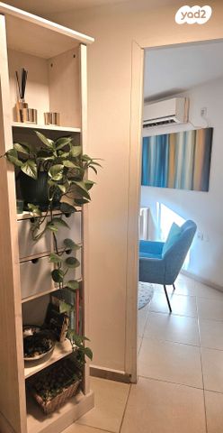 משרדים, מזור