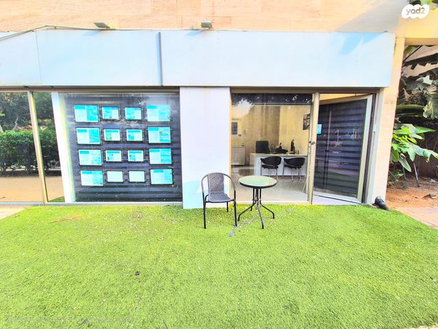 דוד וולפסון 