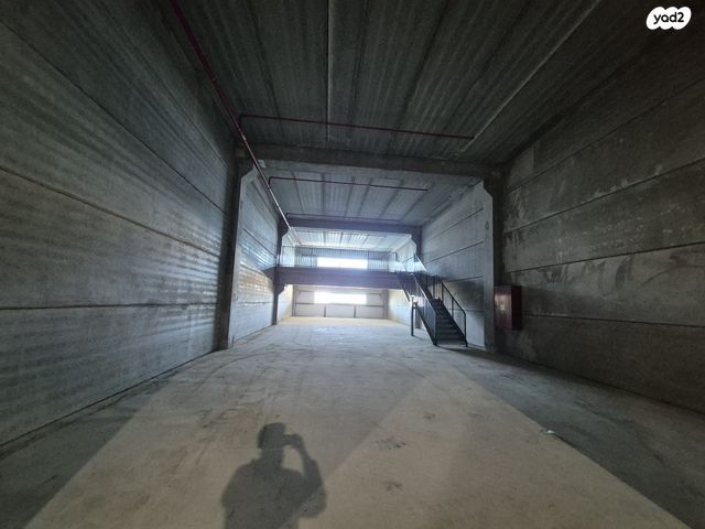 בן ציון גליס 