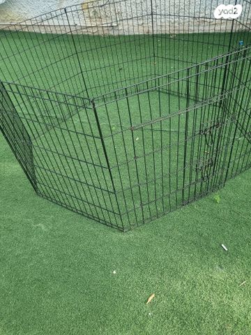 אביזרים | ציוד לאילוף