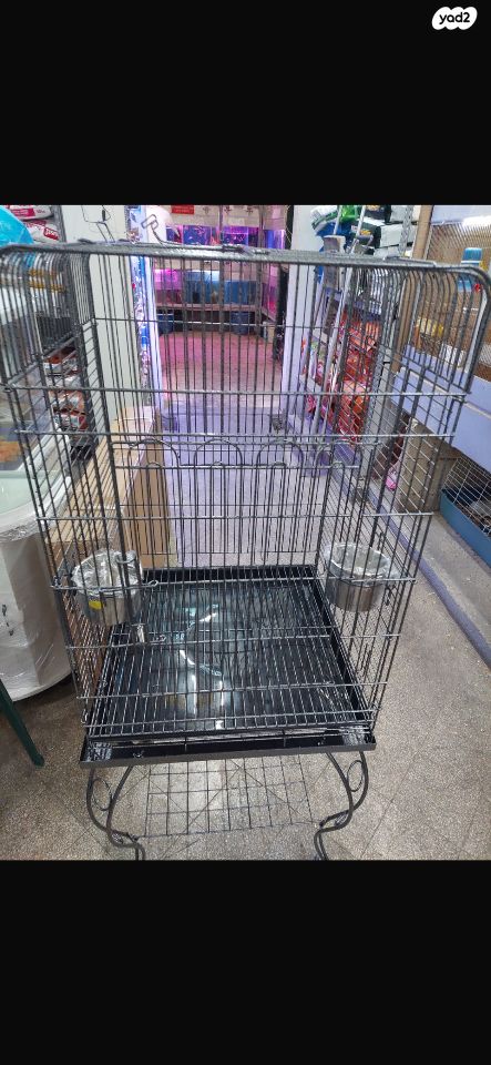 תמונת מודעה - חיות מחמד