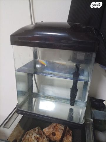 תמונת מודעה - חיות מחמד