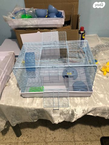 תמונת מודעה - חיות מחמד