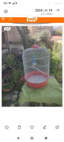 תמונת מודעה - חיות מחמד