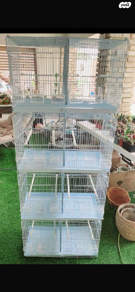 תמונת מודעה - חיות מחמד