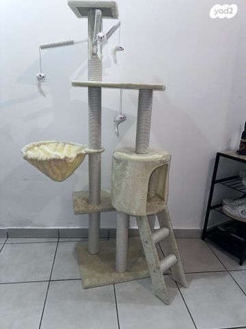 תמונת מודעה - חיות מחמד