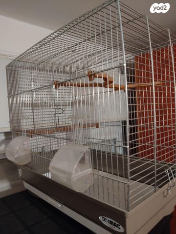 תמונת מודעה - חיות מחמד