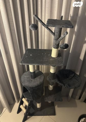 תמונת מודעה - חיות מחמד