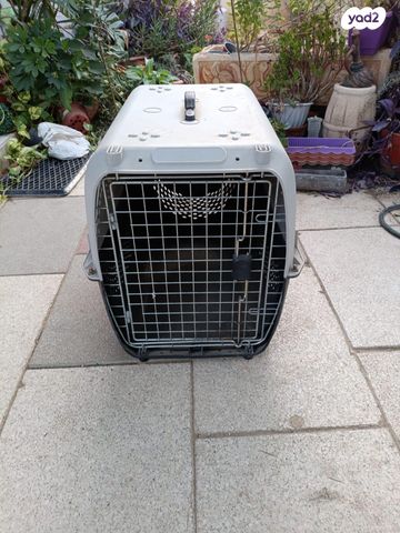 תמונת מודעה - חיות מחמד