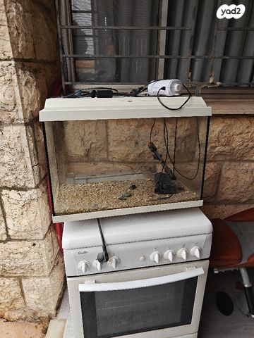 תמונת מודעה - חיות מחמד