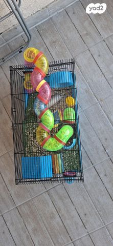 תמונת מודעה - חיות מחמד