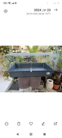 תמונת מודעה - חיות מחמד