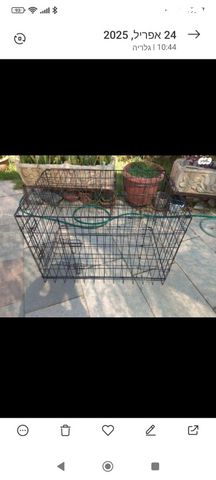 תמונת מודעה - חיות מחמד