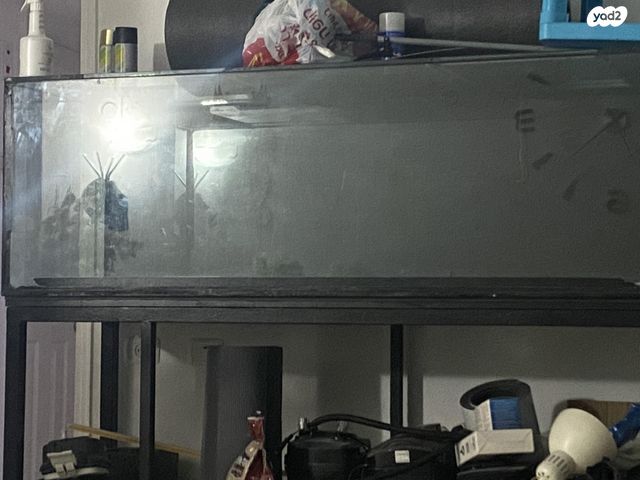 תמונת מודעה - חיות מחמד