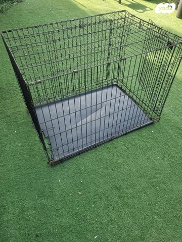 אביזרים | ציוד לאילוף