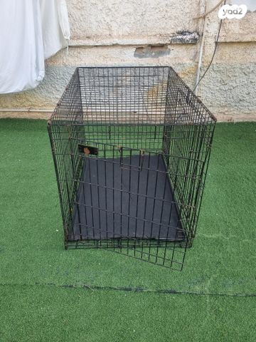 אביזרים | ציוד לאילוף