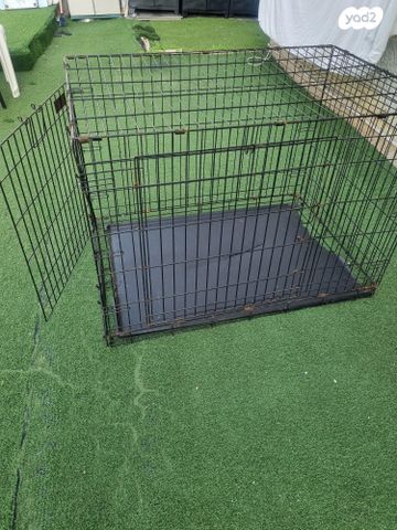 אביזרים | ציוד לאילוף