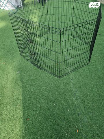 אביזרים | ציוד לאילוף