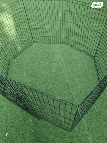 אביזרים | ציוד לאילוף