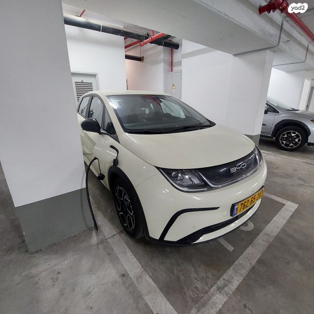 בי.ווי.די דולפין