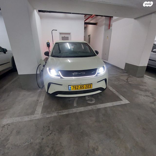 בי.ווי.די דולפין