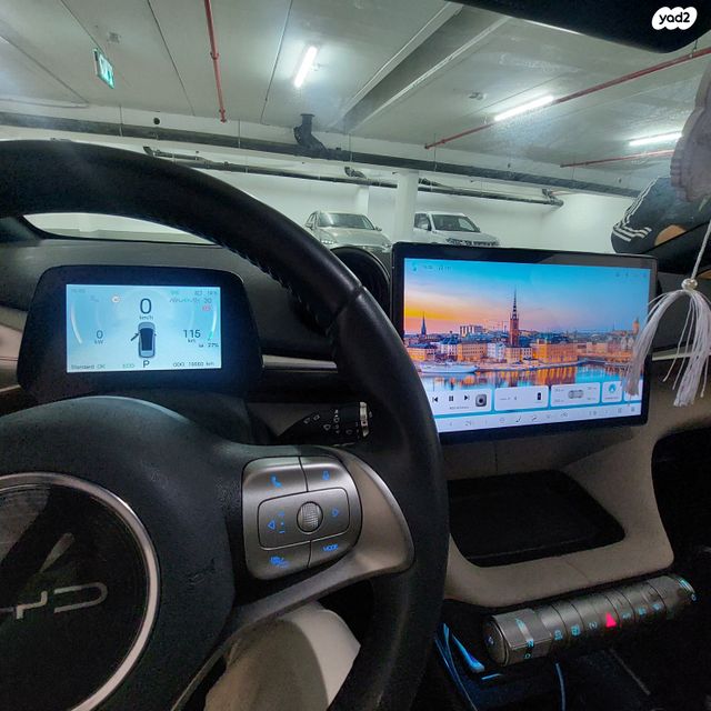 בי.ווי.די דולפין