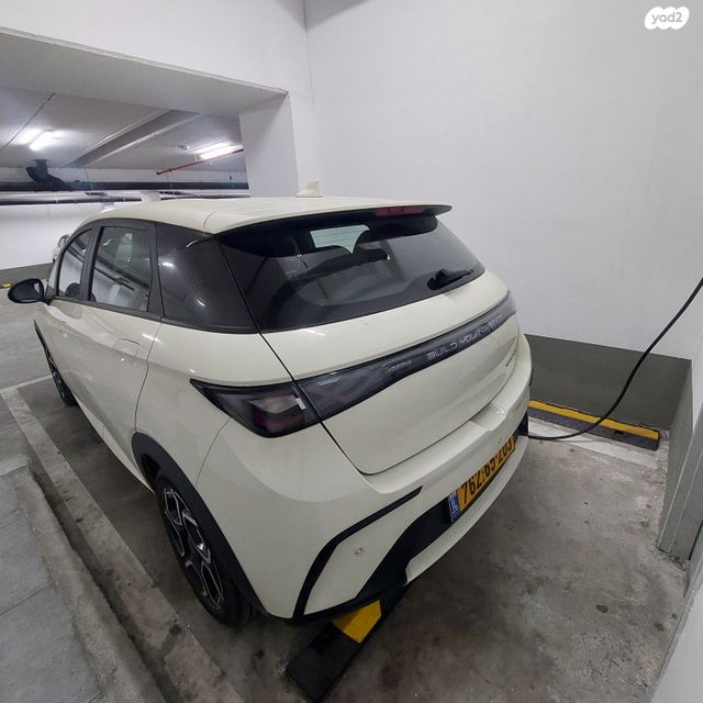 בי.ווי.די דולפין