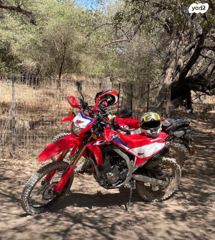 הונדה CRF300L