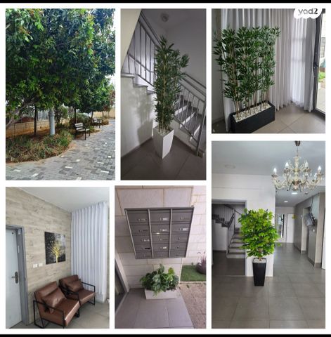 גג/ פנטהאוז, גפן 46, החורש, חריש