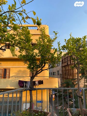 שמעון הצדיק 7