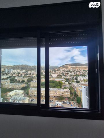 דירה, הכלניות 20, כלניות, טירת כרמל