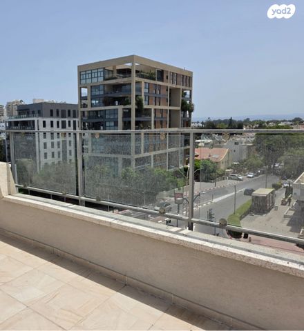 ברנשטיין כהן 1