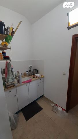 ורד הירדן 331