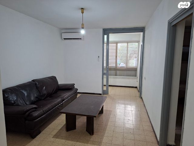 דוד המלך 1137