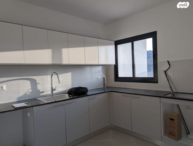 דירה, לשם 43, שאר העיר, אריאל