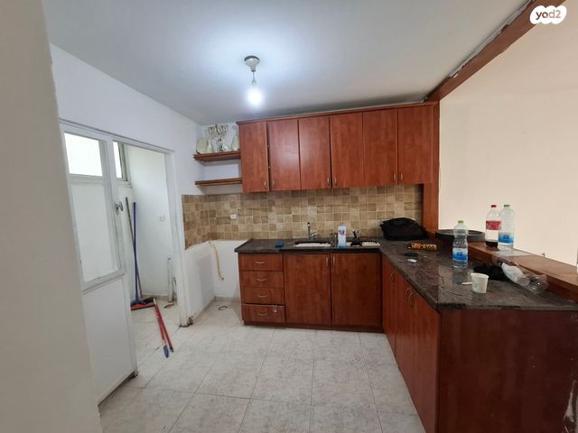 דוד אלעזר 31