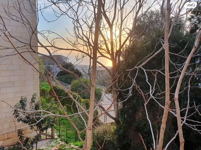 דירה, ויתקין 12, אחוזה, חיפה