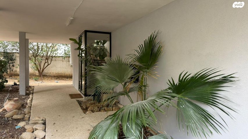 דירה, יהואש 10, ב' / צפון מערב העיר, רחובות