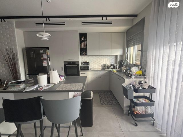 יהושע חנקין 