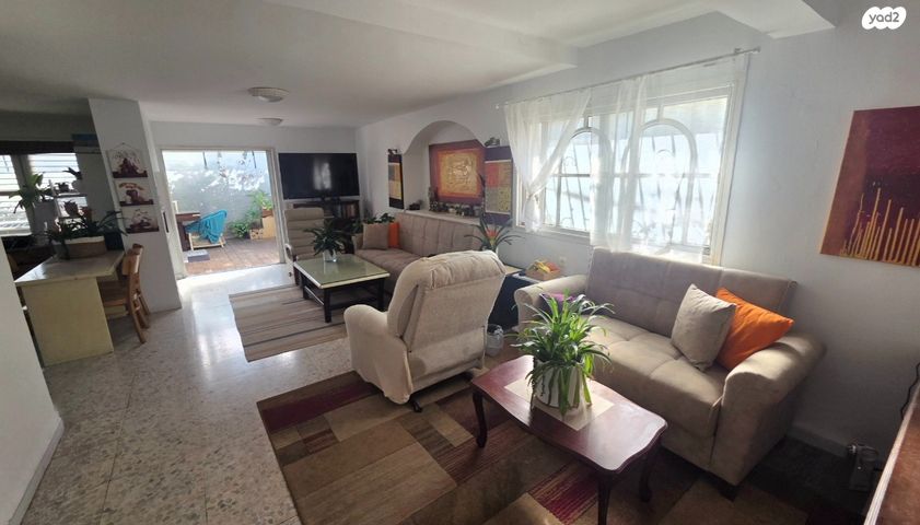 שלום פינקלשטיין 