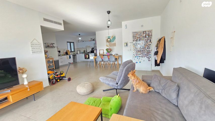 דירה, אלברט איינשטיין, פסגות אפק, ראש העין