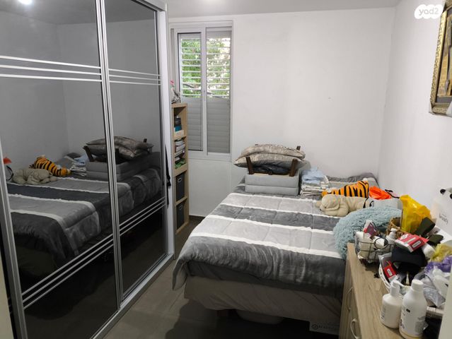 דירה, החלוץ, טרומפלדור, נהריה