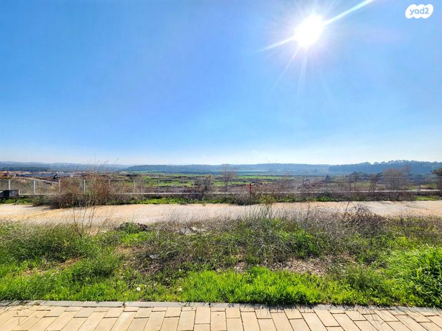 דירת גן, הפרחים, חריש